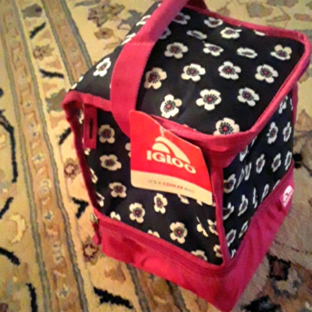 Igloo Square 2 Compactment Lunchbox